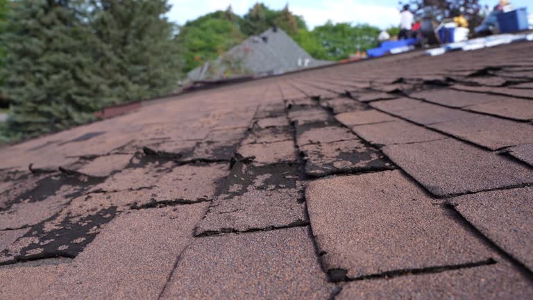 Best Rubber Roofing (EPDM, TPO)  in North Tustin, CA